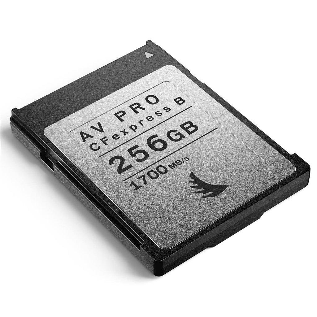 256GB CFexpress 2.0 Type B Memory Card D24370