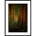 Framed Photographic Print F844