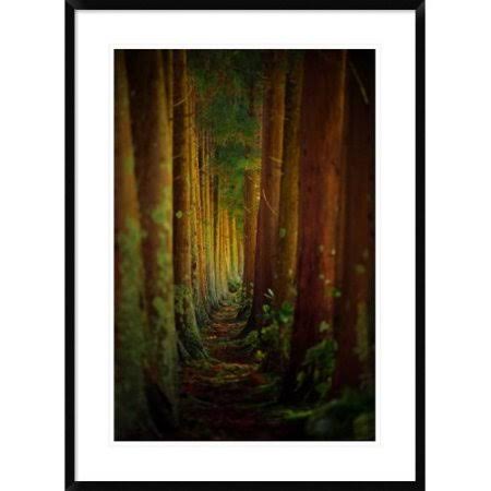 Framed Photographic Print F844