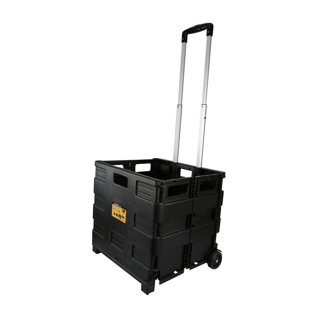 Plastic Black Portable Carrier W2479