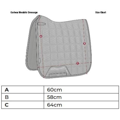 White Dressage Square H65220