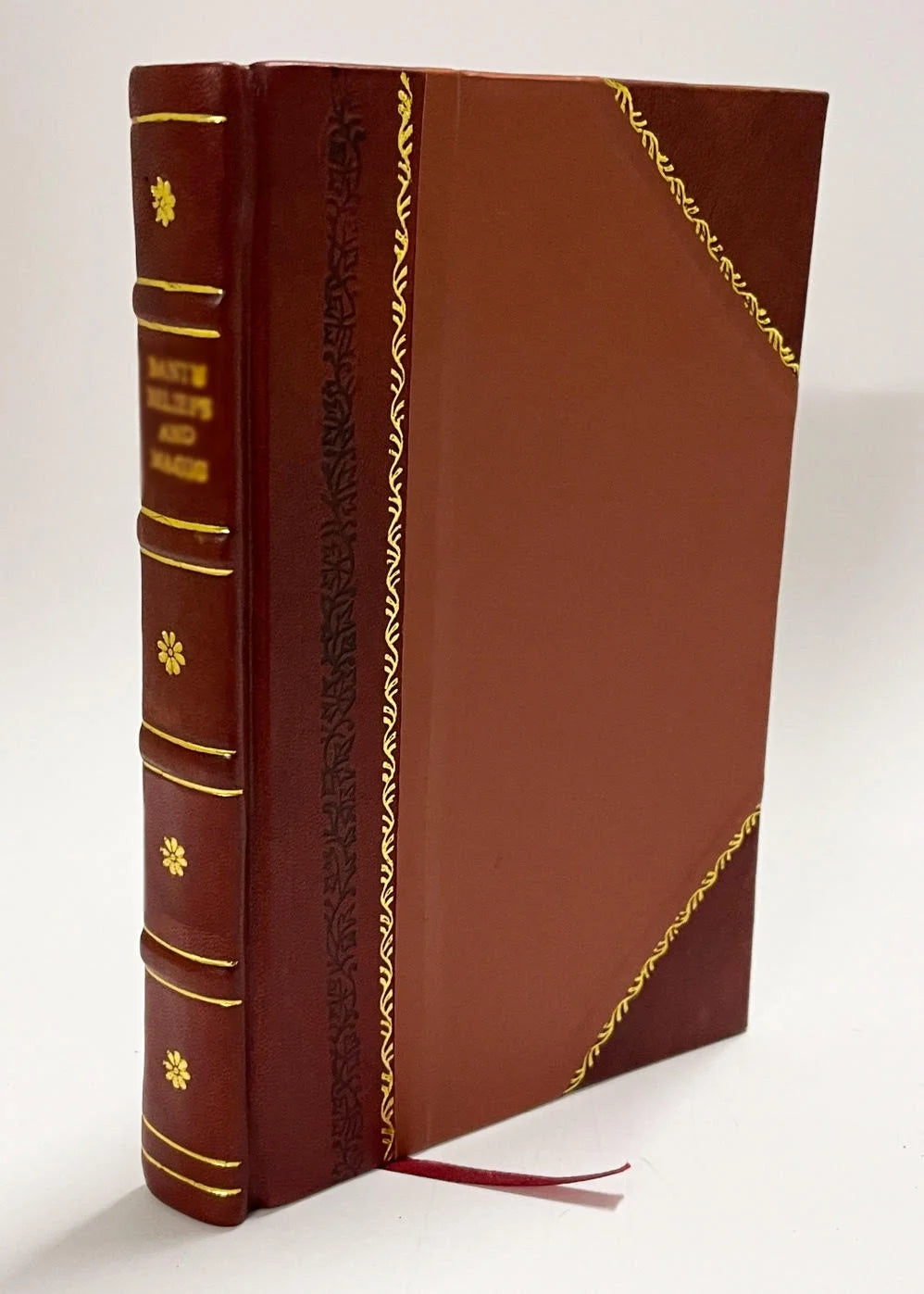 Leather Bound Book F464394