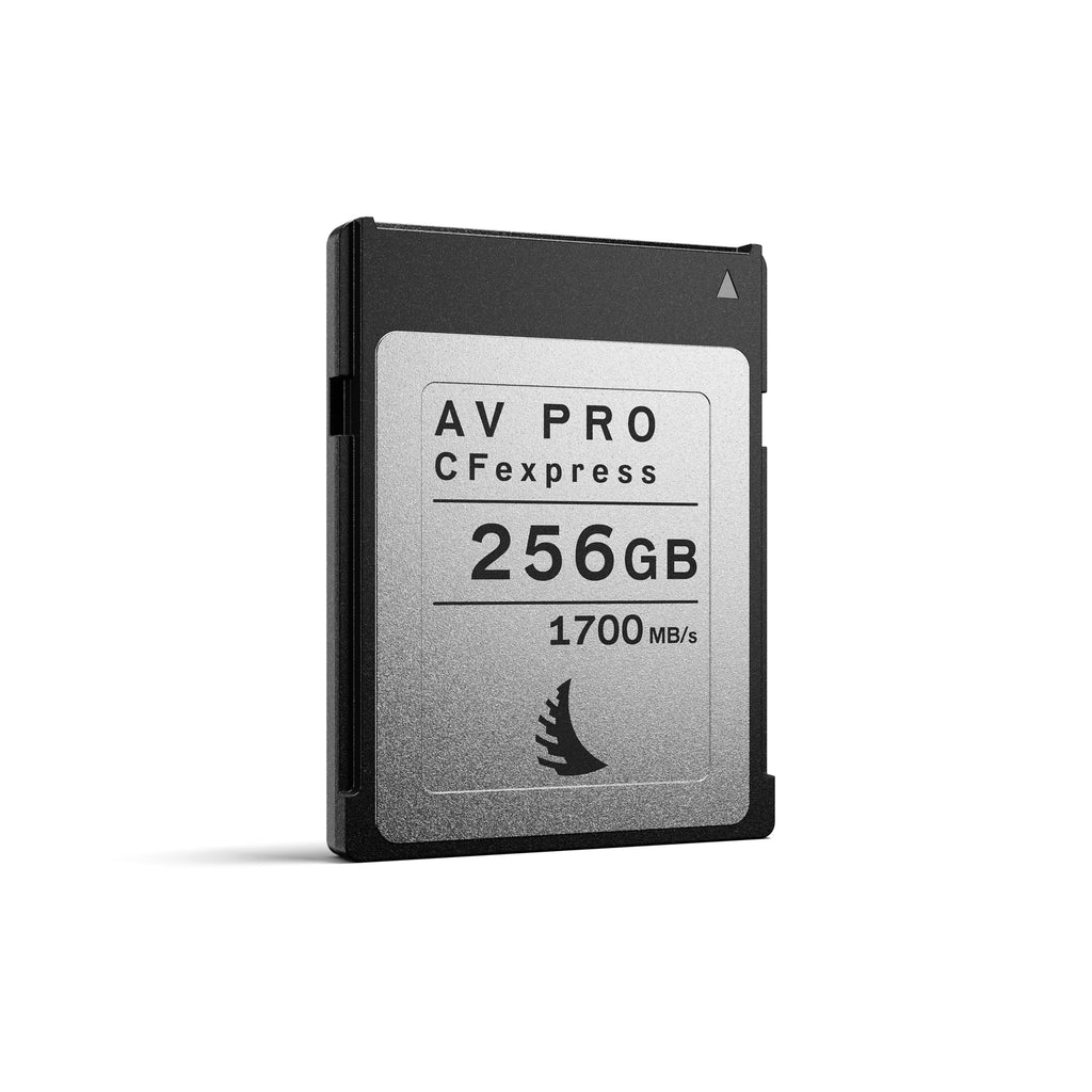 256GB CFexpress 2.0 Type B Memory Card D24370