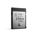 256GB CFexpress 2.0 Type B Memory Card D24370