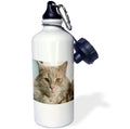 Gray Cat Sports Water Bottle 21oz B1073