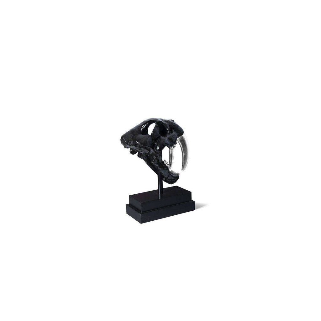 Black Saber Tooth Tiger Skull L8199