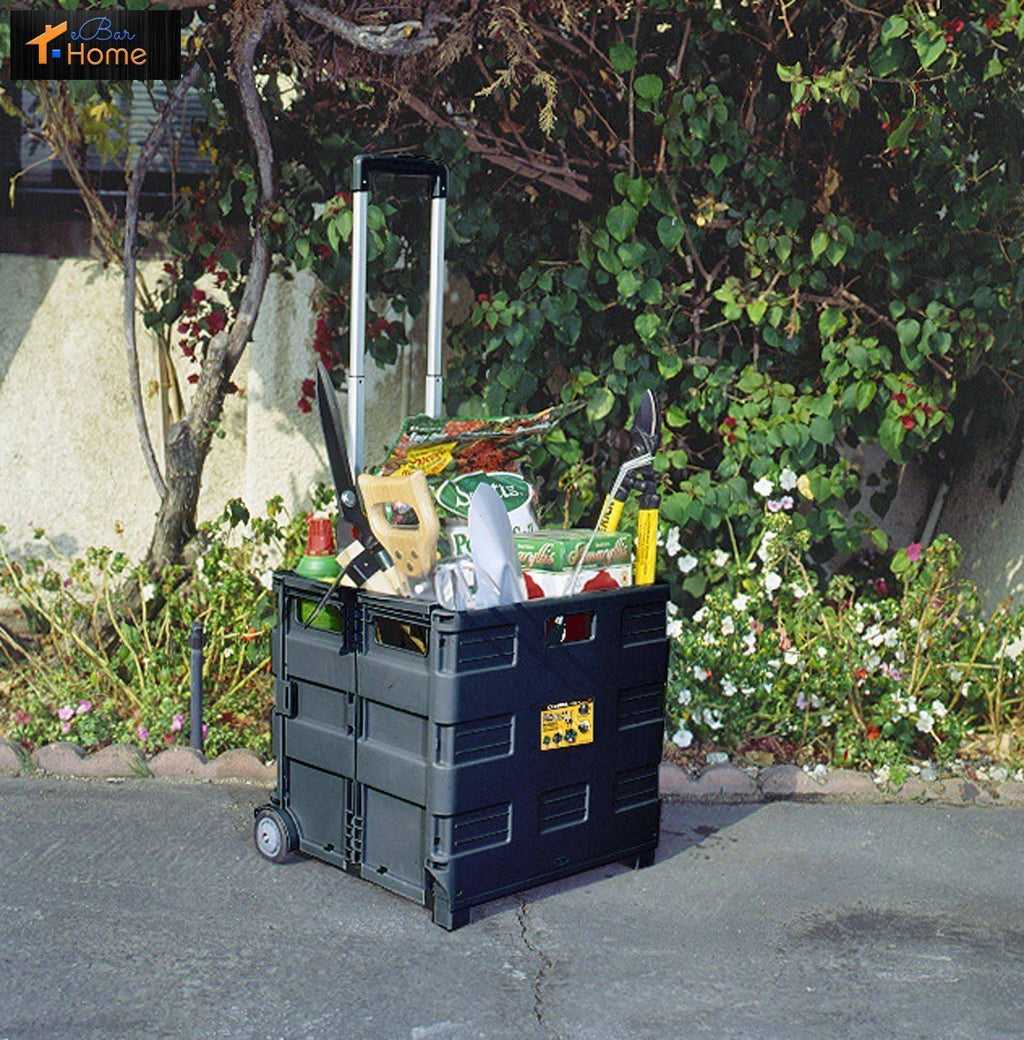 Plastic Black Portable Carrier W2479