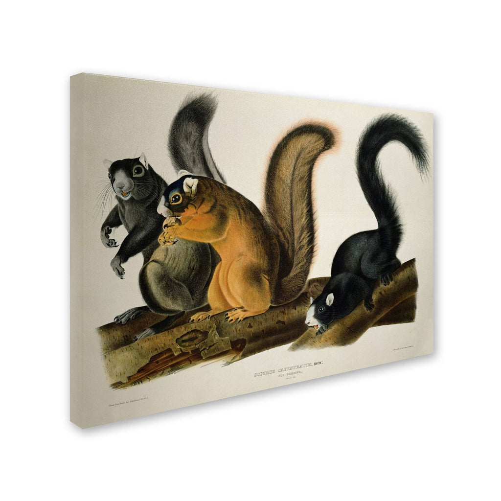 Canvas Art U23082