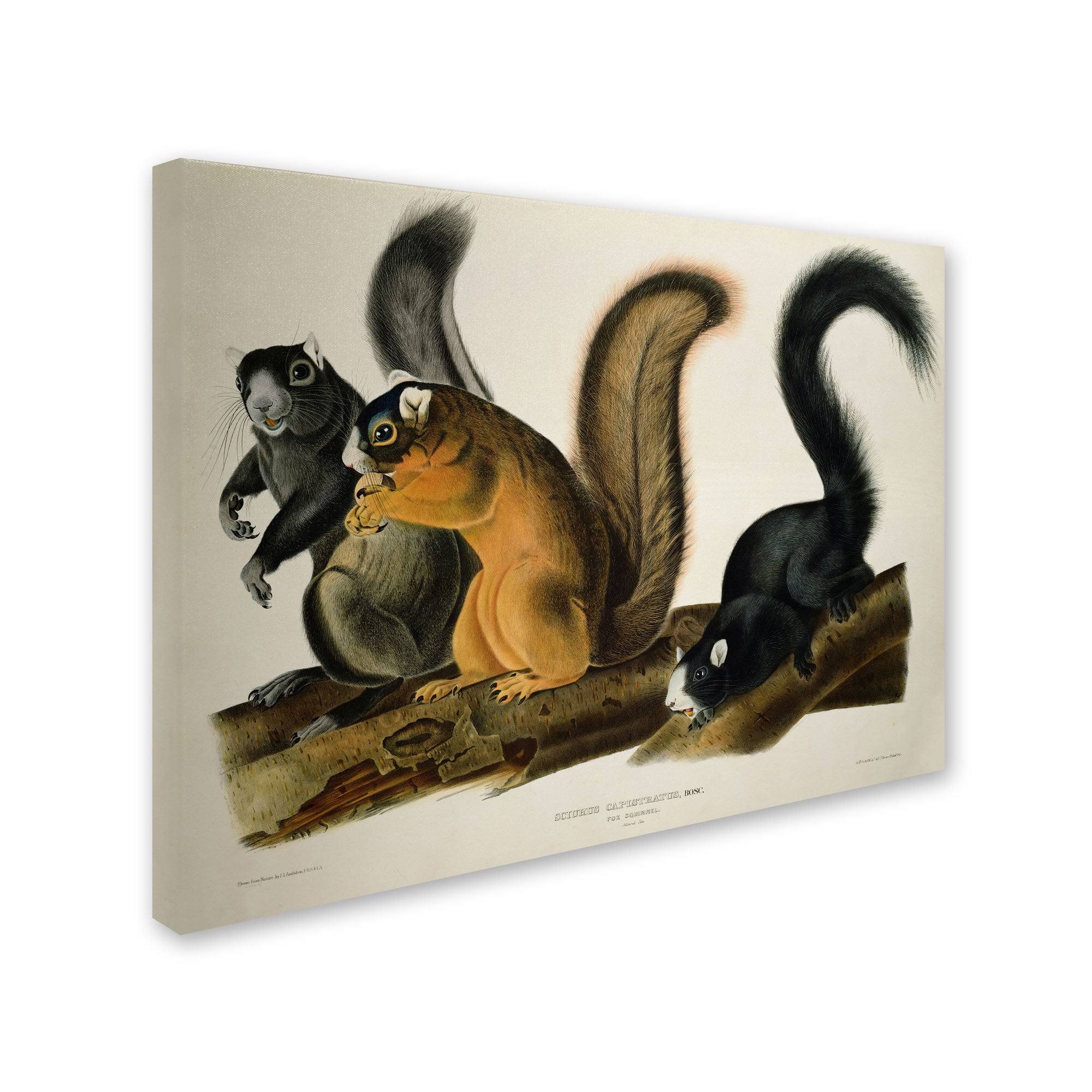 Canvas Art U23082
