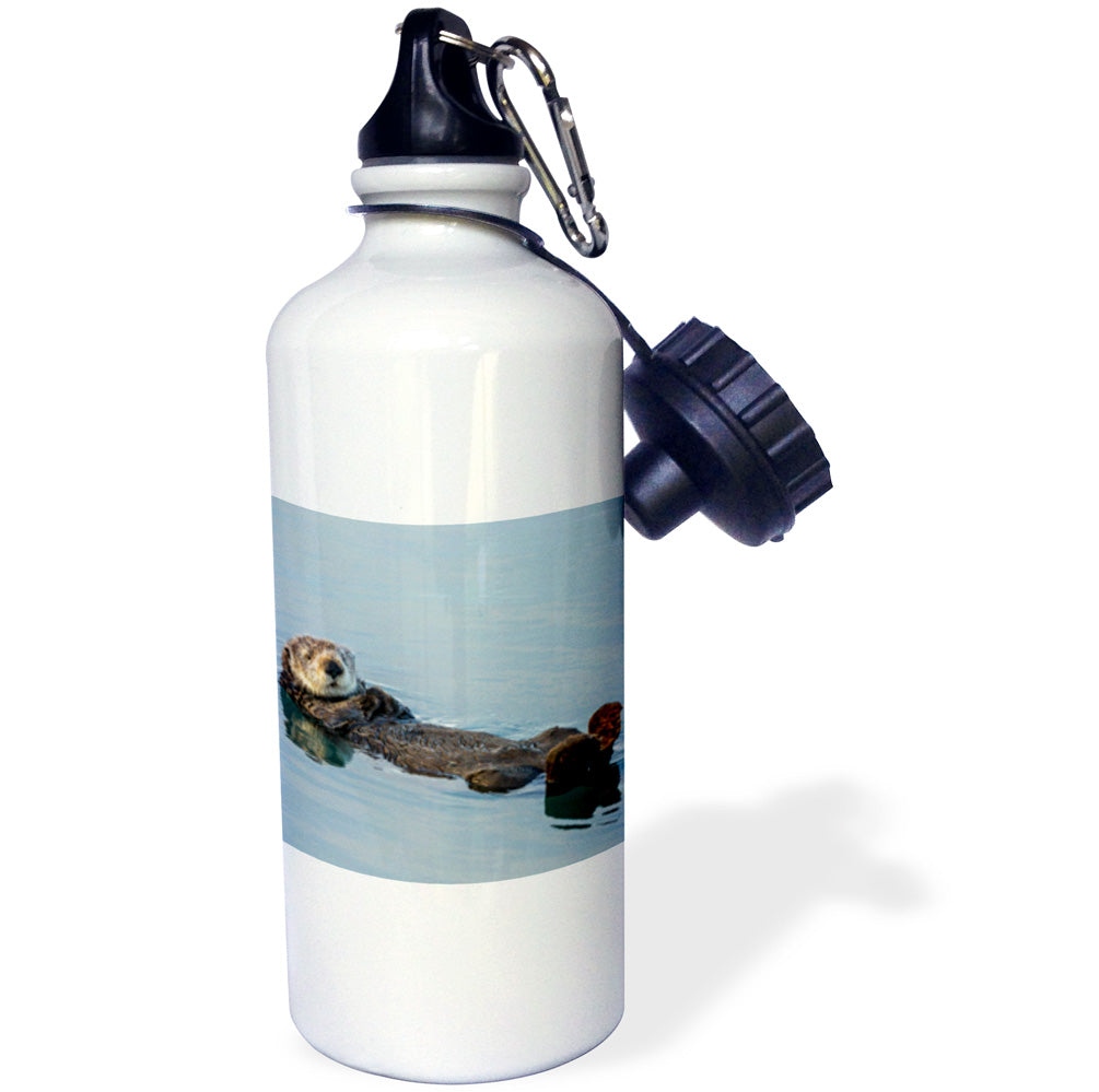 Sea Otter Straw Water Bottle, 21-ounce W176