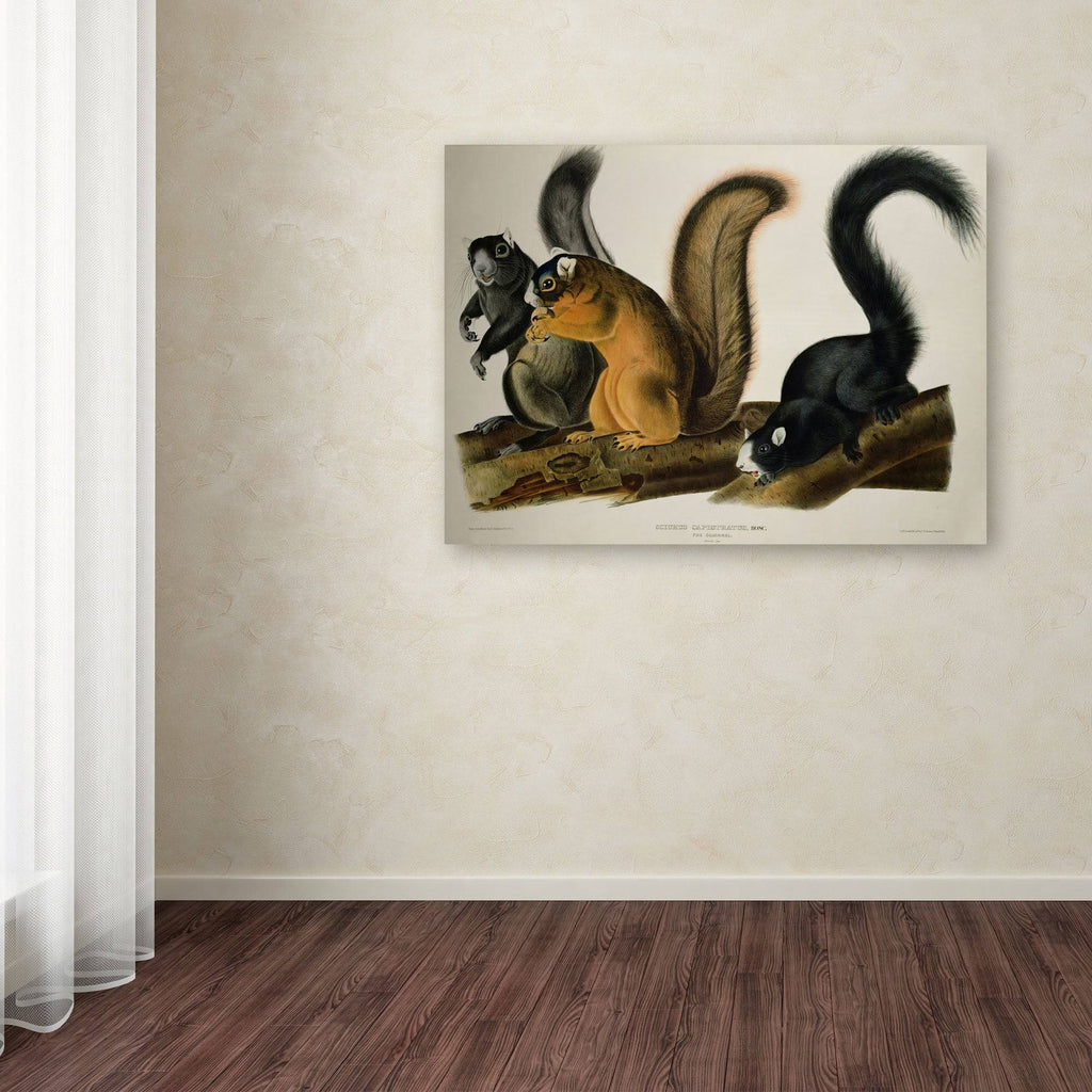 Canvas Art U23082