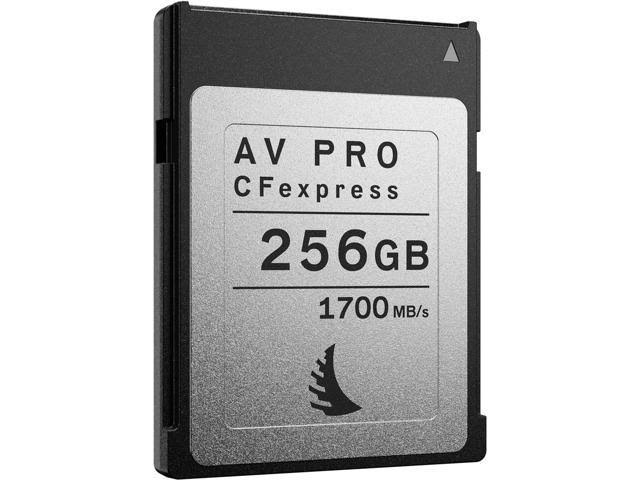 256GB CFexpress 2.0 Type B Memory Card D24370