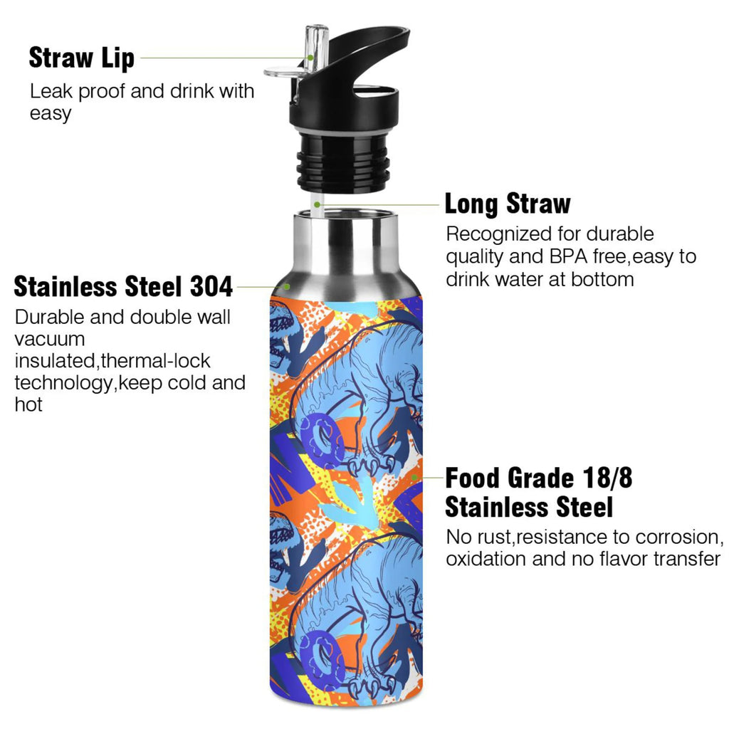 Stainless Steel Insulated Water Bottle with Straw Lid R3496