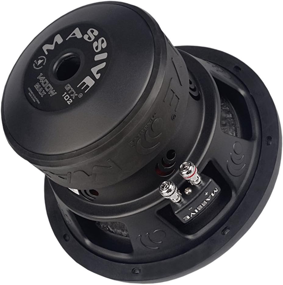10 Inch Car Audio Subwoofer, 700 Watt RMS, Dual 2 Ohm Q179