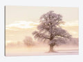 Winter Glow Print Canvas Art M18595