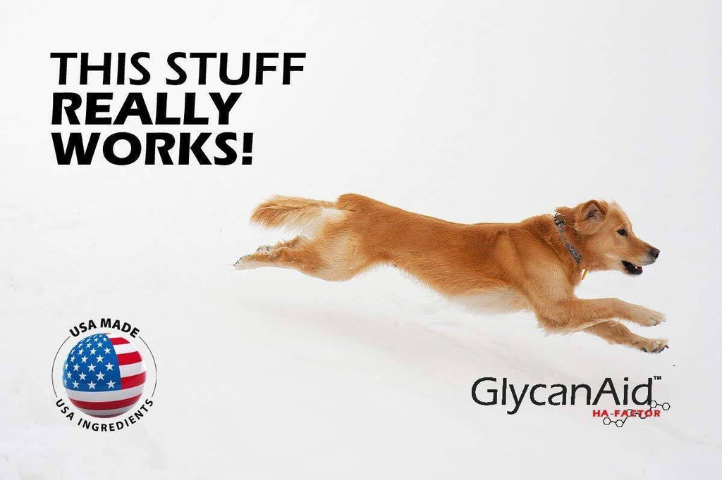 150 Chewable Joint Supplement for Dogs Y275