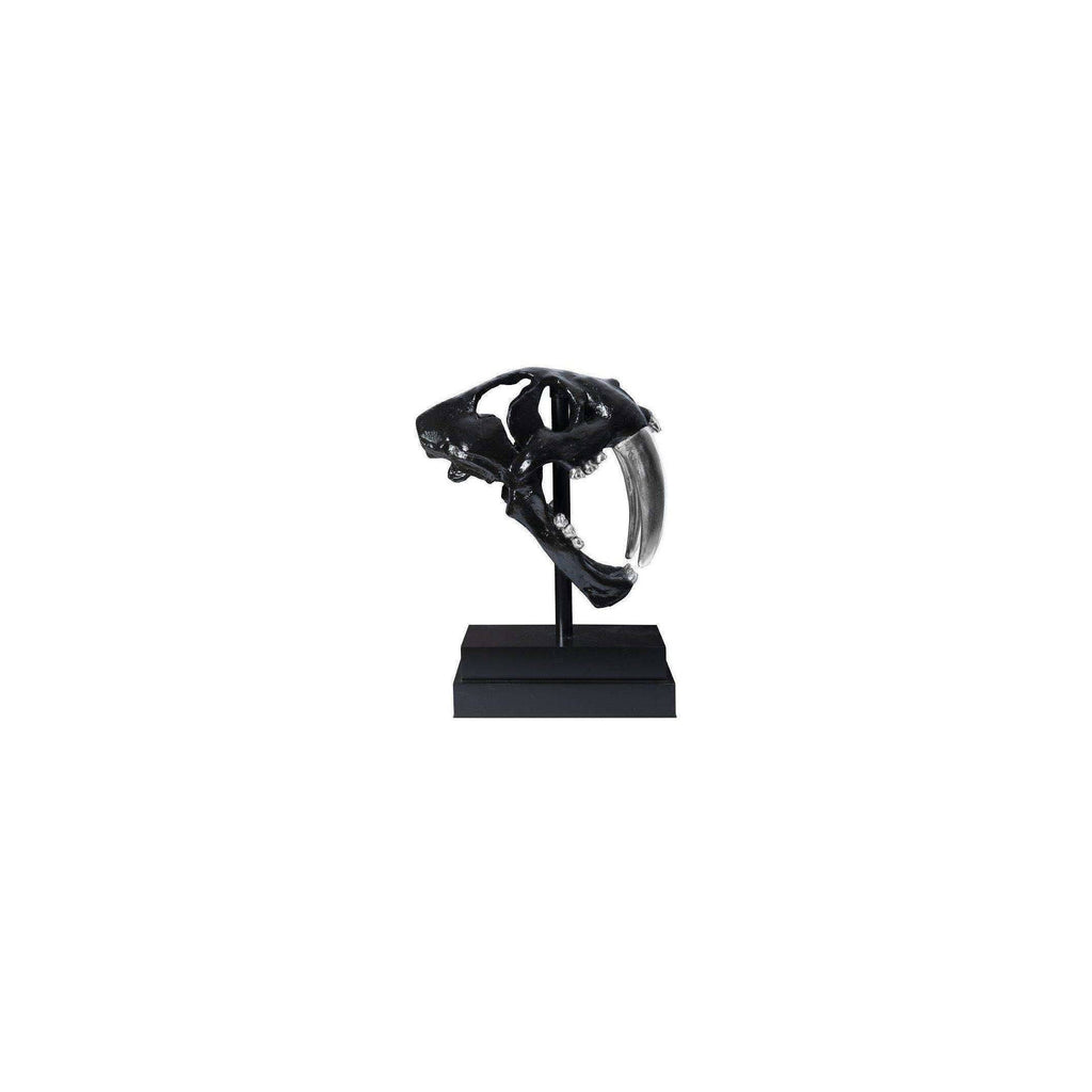 Black Saber Tooth Tiger Skull L8199