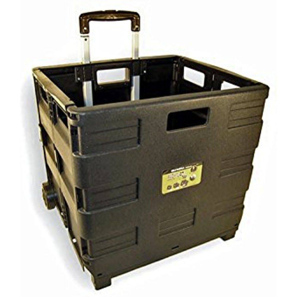 Plastic Black Portable Carrier W2479