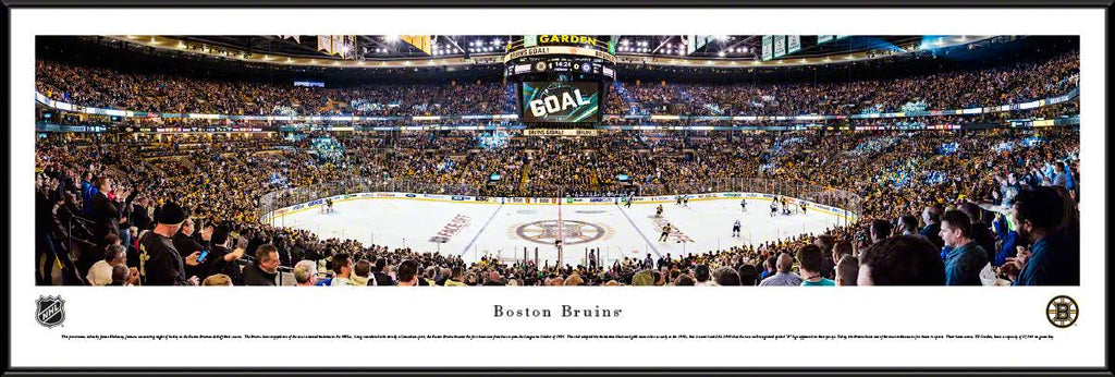Framed Center Ice W38621
