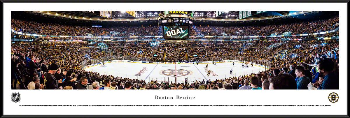 Framed Center Ice W38621