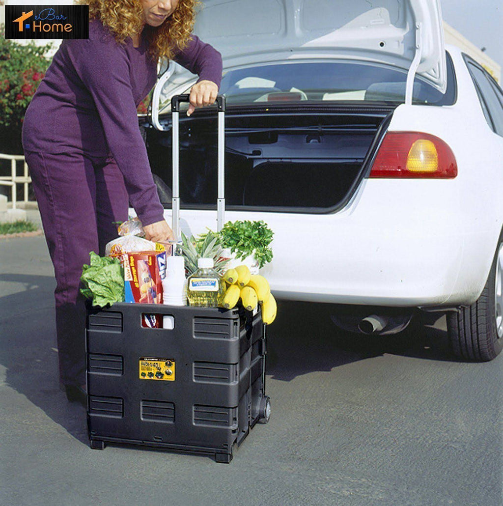 Plastic Black Portable Carrier W2479