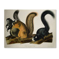 Canvas Art U23082