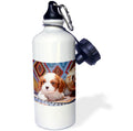 Straw Water Bottle, 21-ounce N470