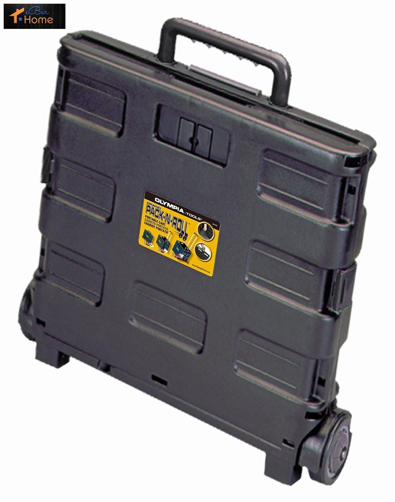 Plastic Black Portable Carrier W2479