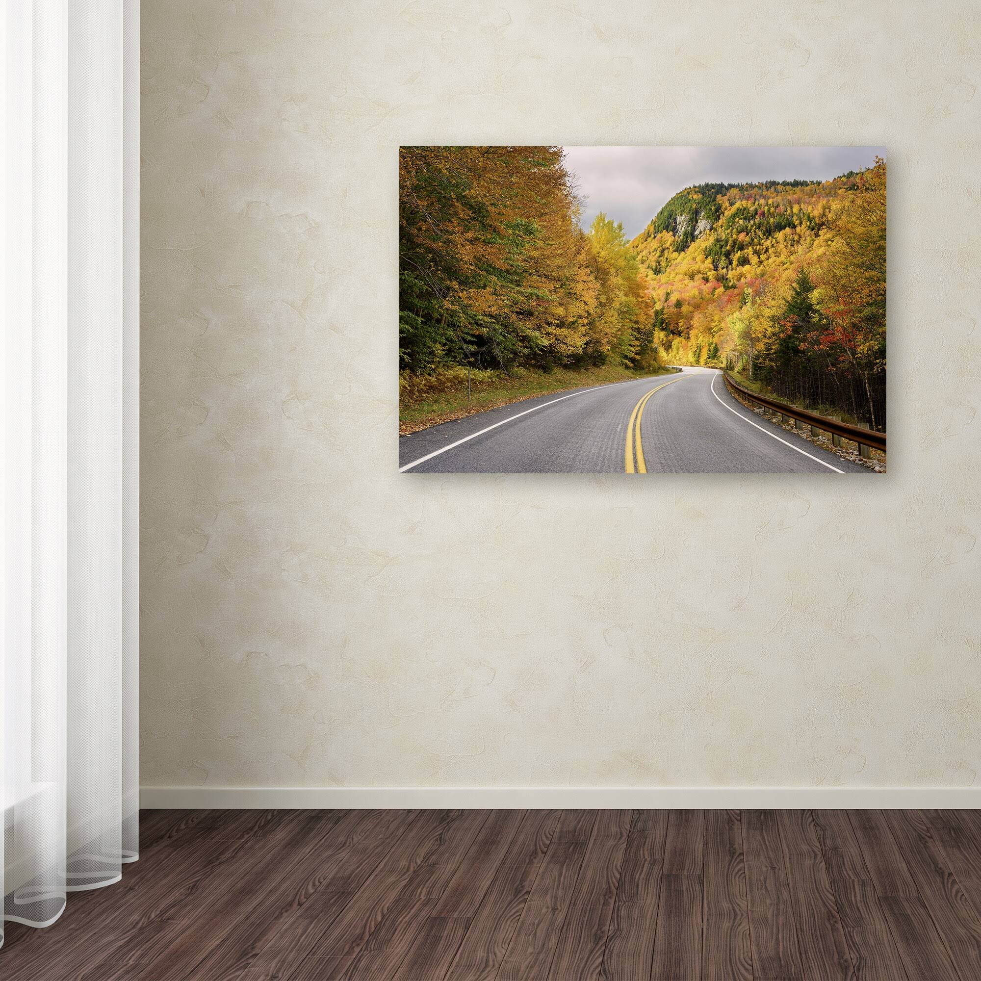 Canvas Art 16 x 24 J8512