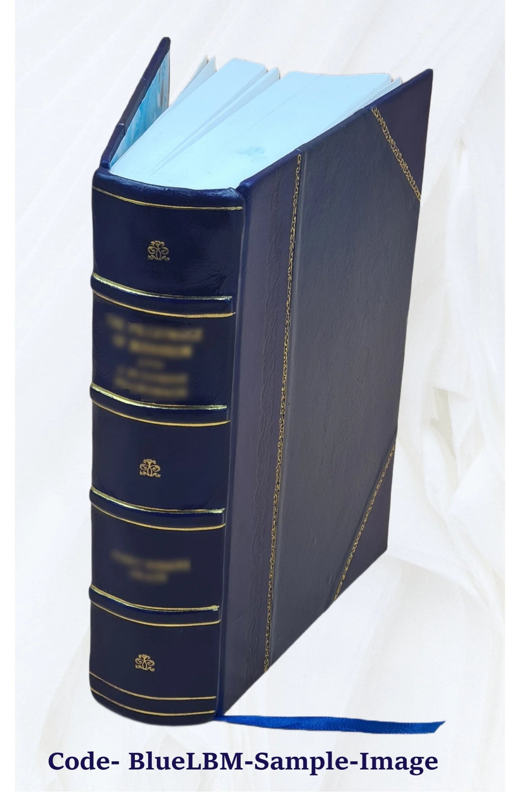 Leather Bound Book O9191
