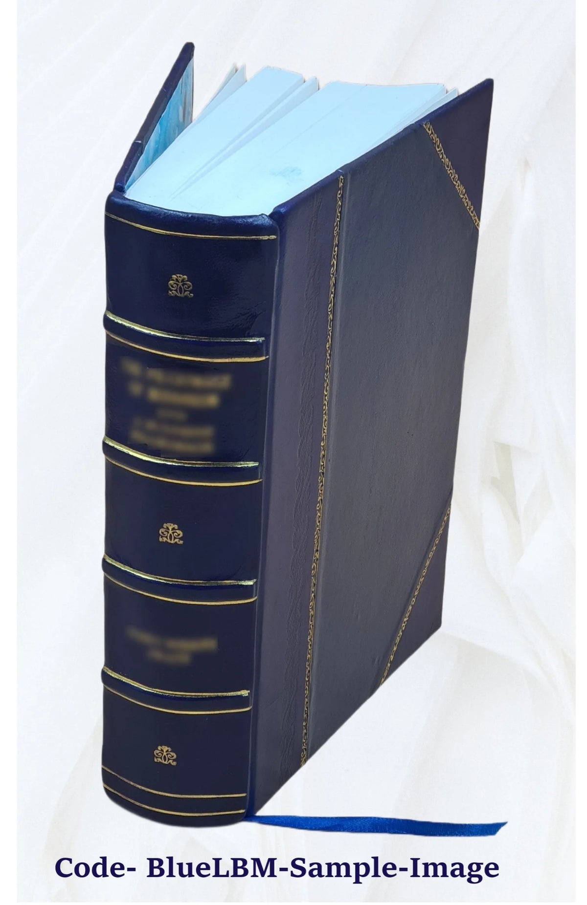 Leather Bound Book O9191