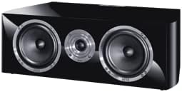 Piano Black Center Channel Speaker with Two-Way Bass Reflex F122555