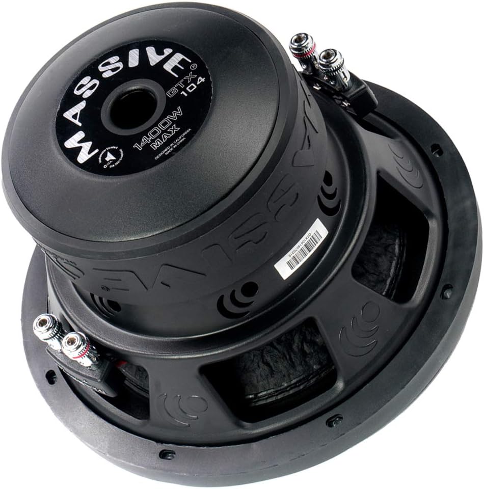 10 Inch Car Audio Subwoofer, 700 Watt RMS, Dual 2 Ohm Q179