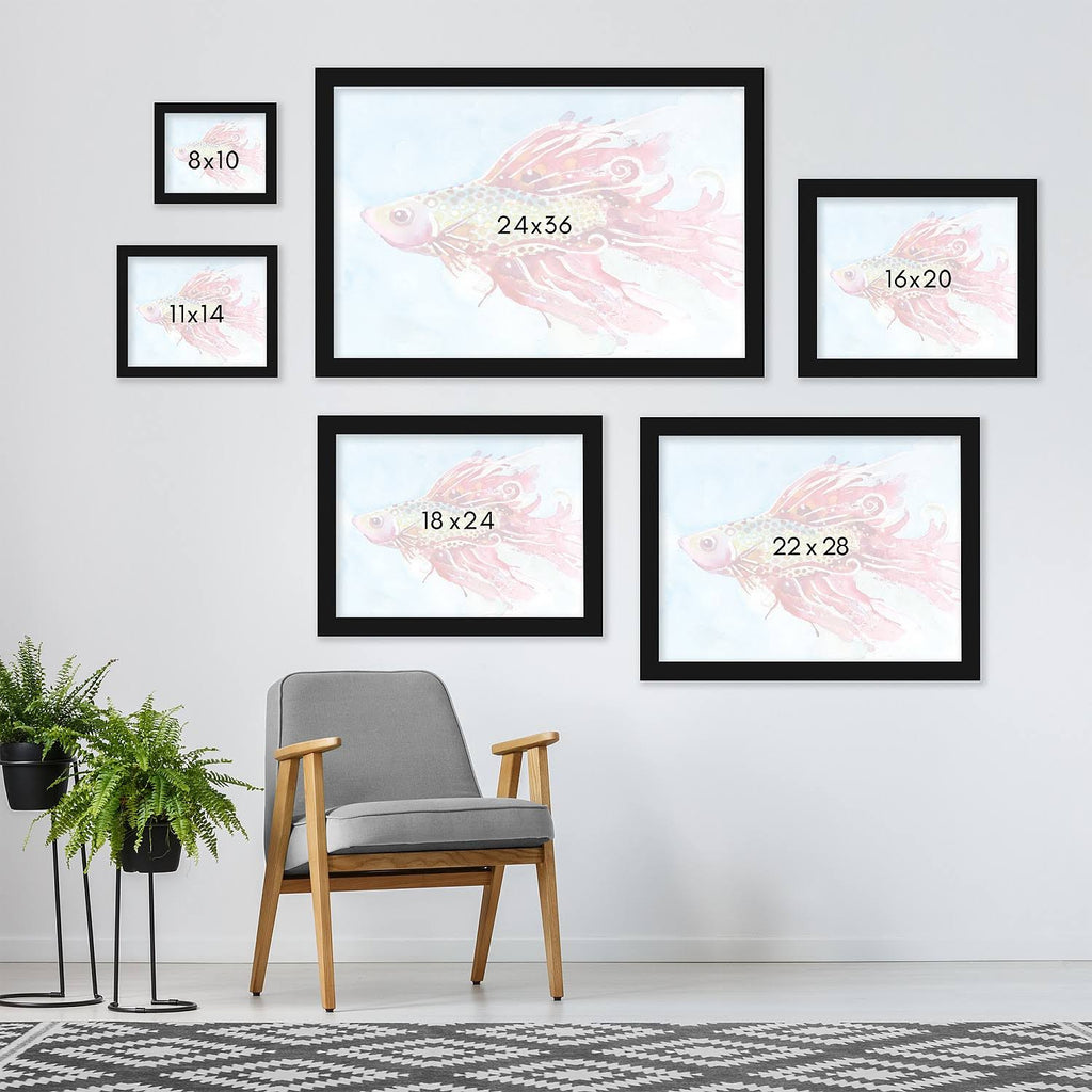 Black Frame Fish Swim Picture D2272