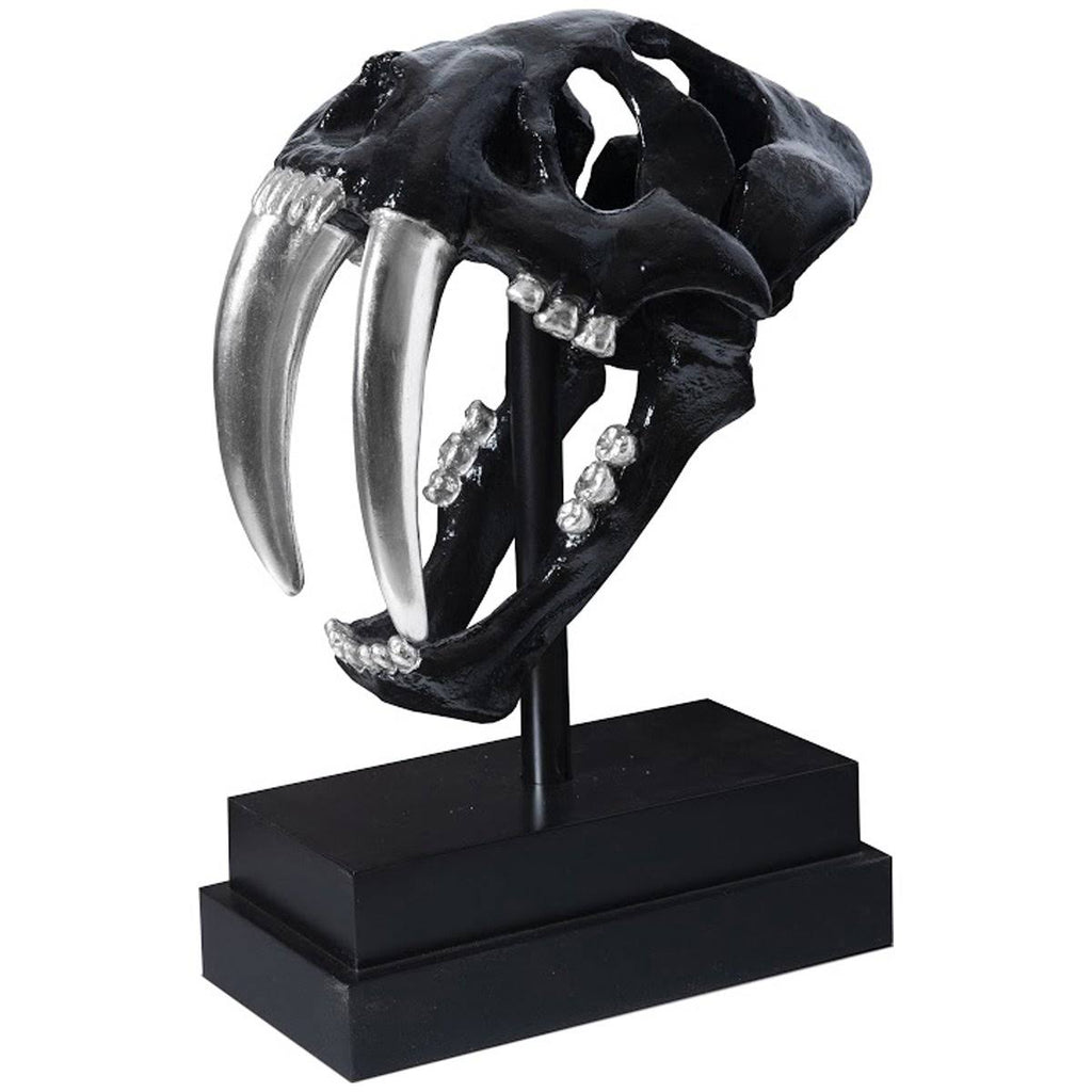 Black Saber Tooth Tiger Skull L8199
