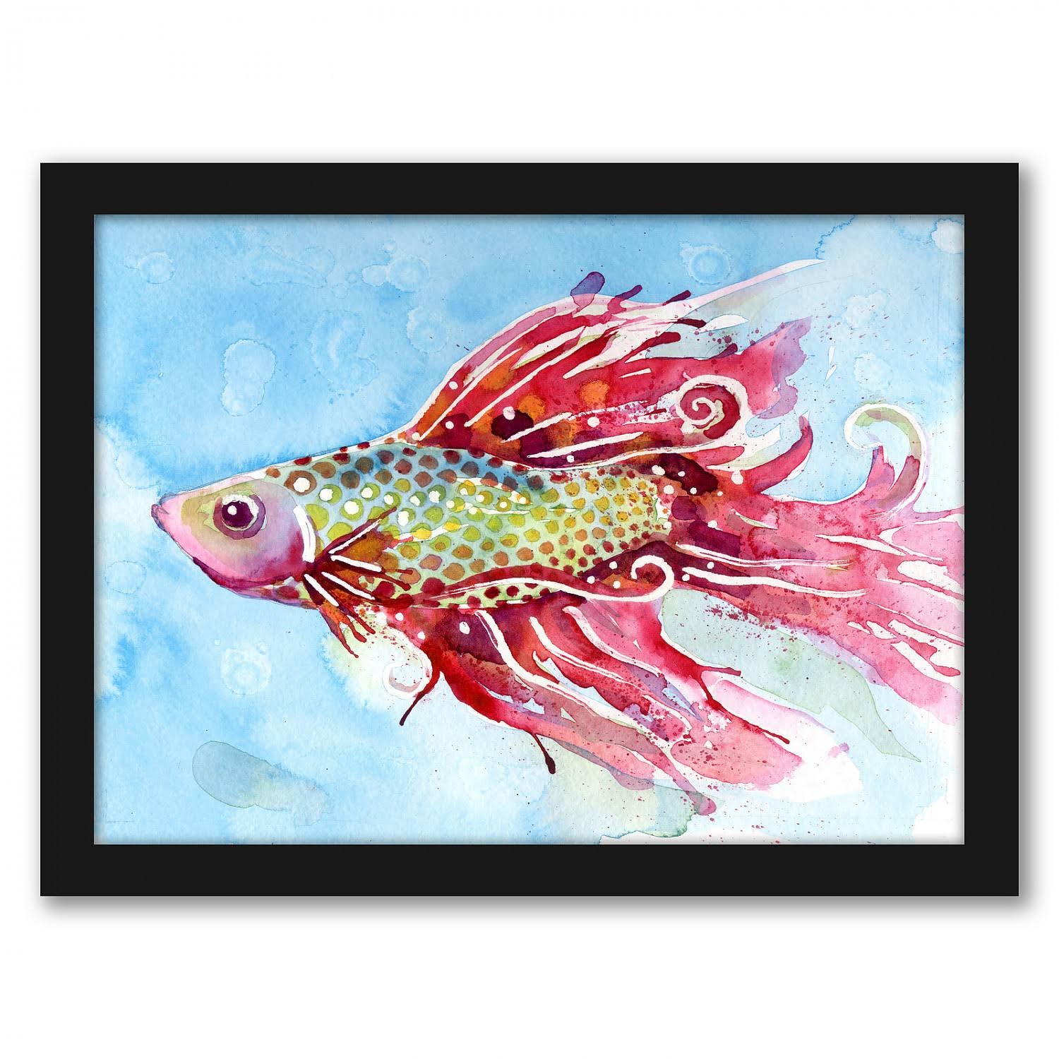 Black Frame Fish Swim Picture D2272