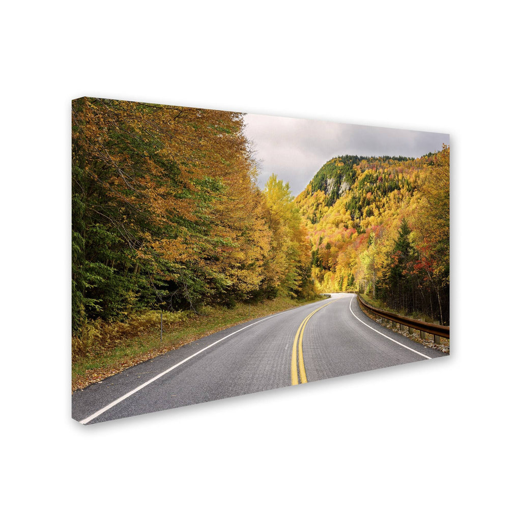 Canvas Art 16 x 24 J8512