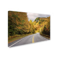 Canvas Art 16 x 24 J8512
