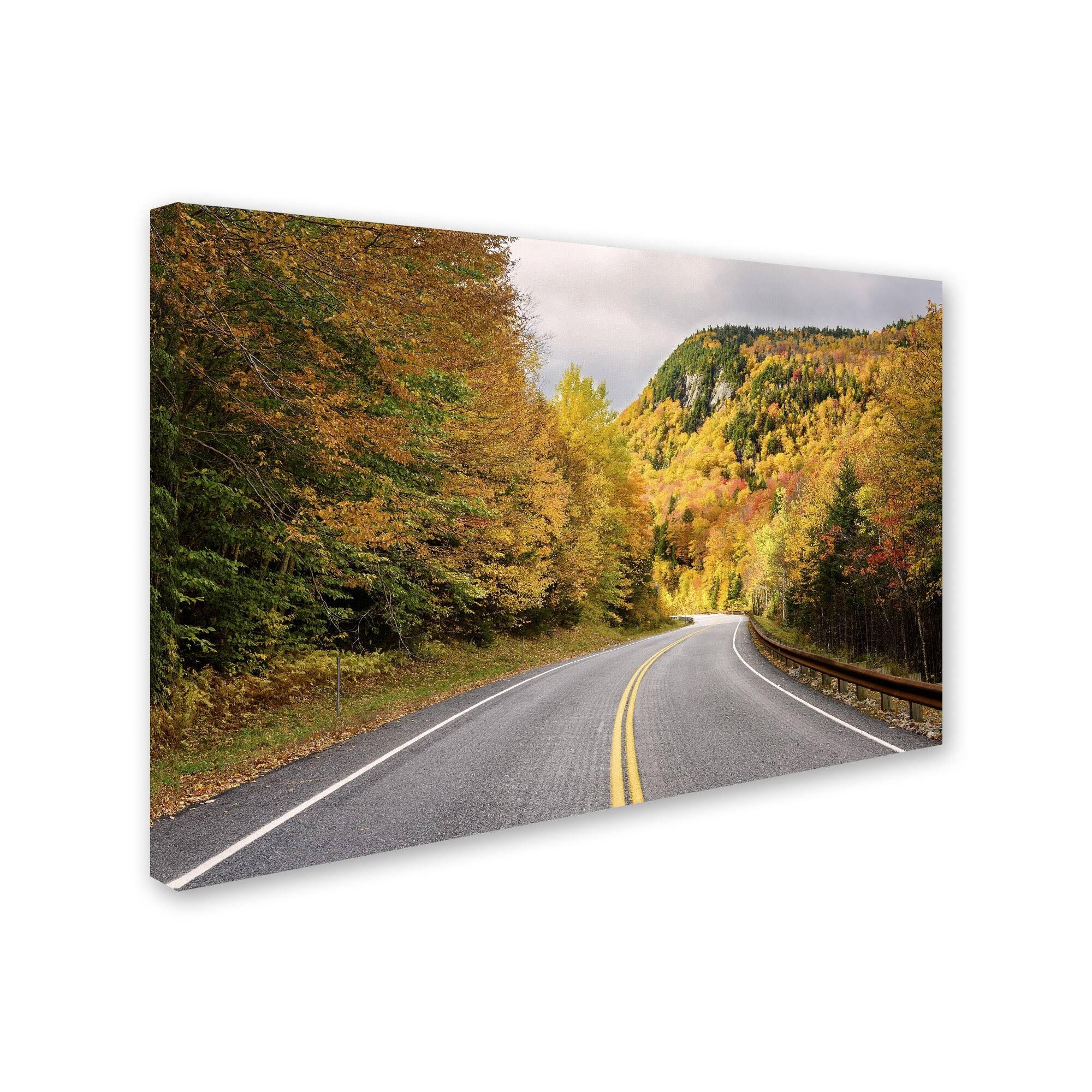 Canvas Art 16 x 24 J8512