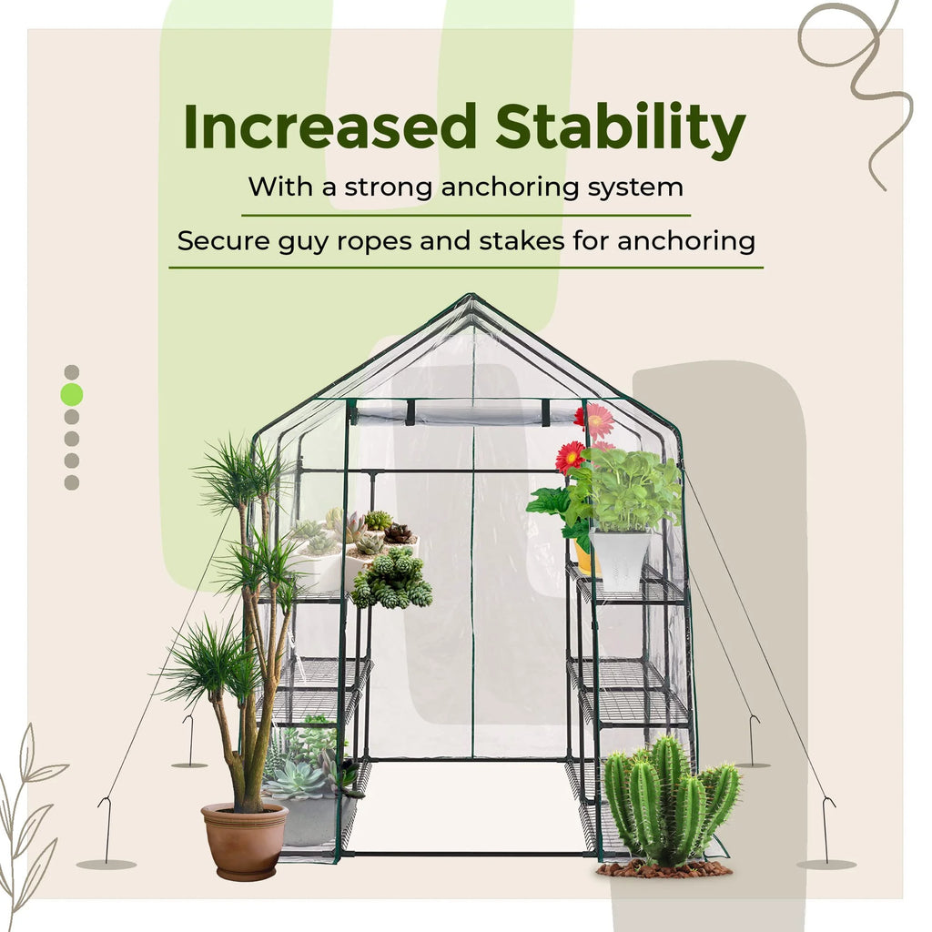 Walk-in Greenhouse with Plant Rack G1942