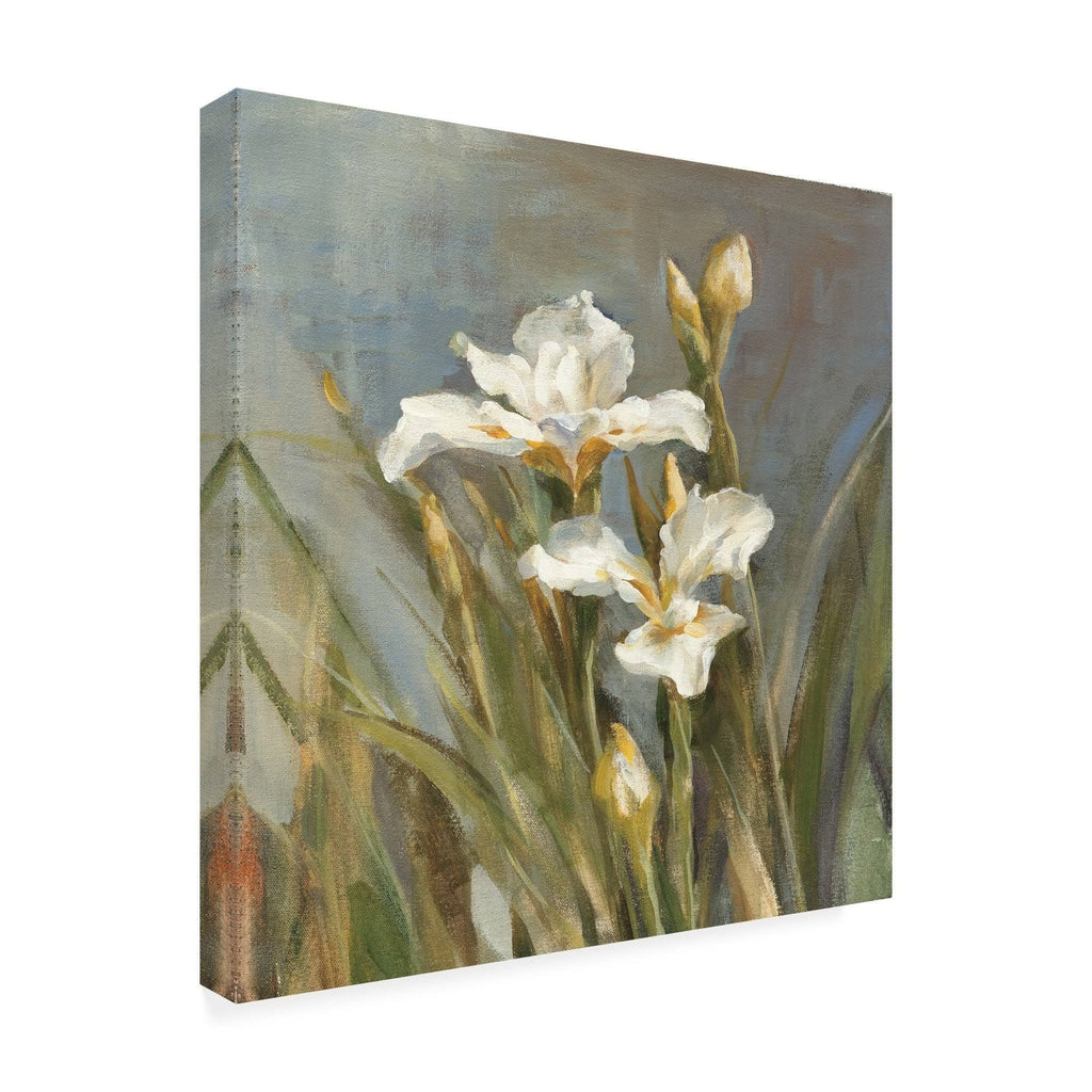Spring Iris II Canvas U771495