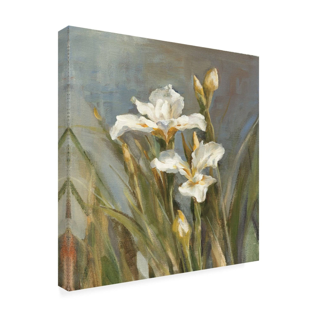 Spring Iris II Canvas U771495