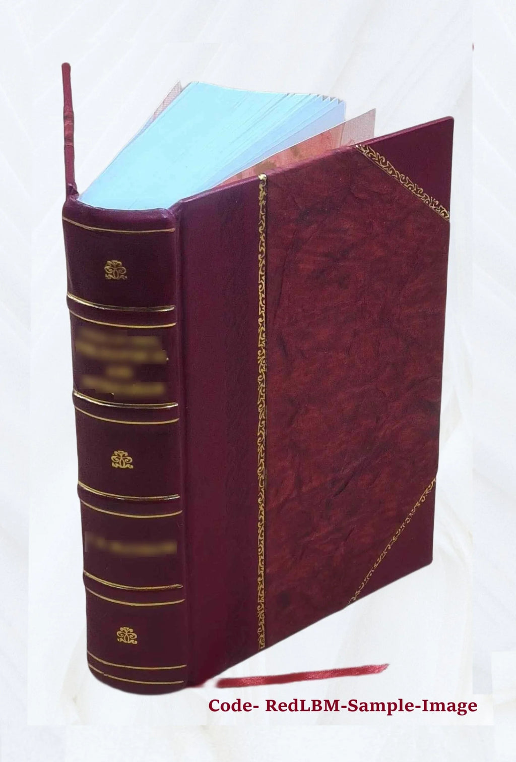 Leather Bound Book O9191