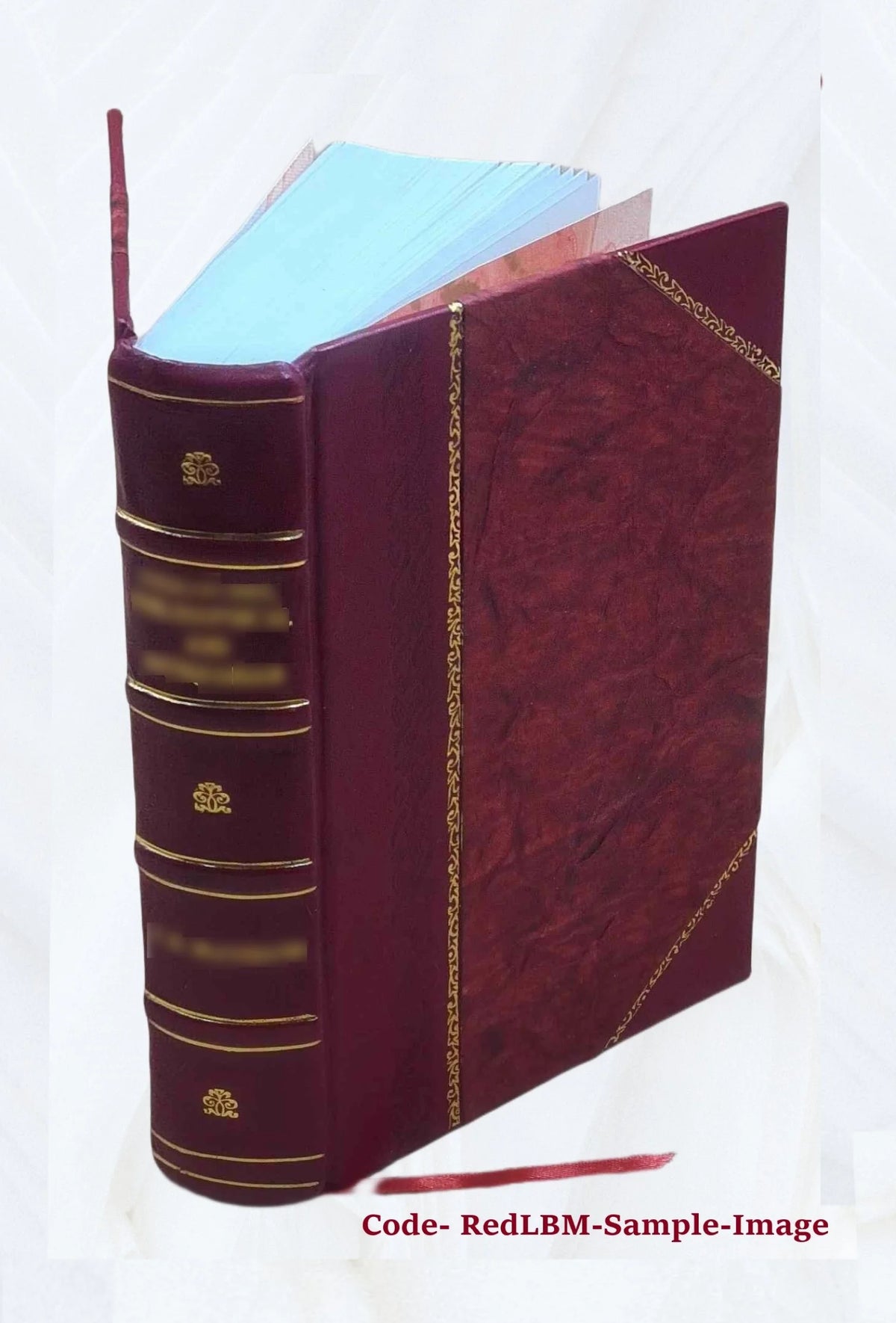 Leather Bound Book O9191