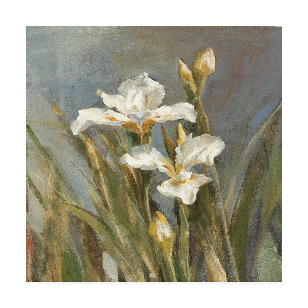 Spring Iris II Canvas U771495