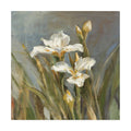 Spring Iris II Canvas U771495