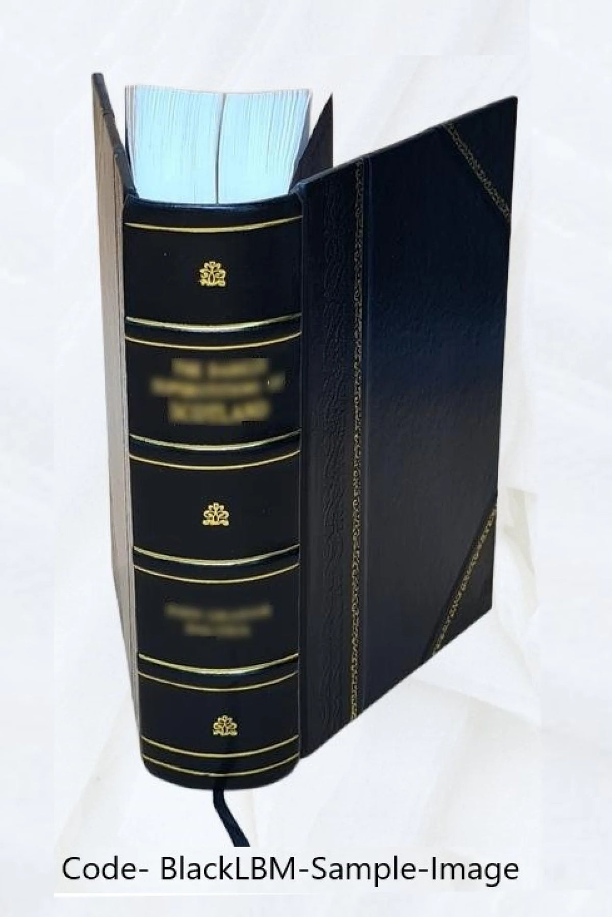 Leather Bound Book O9191