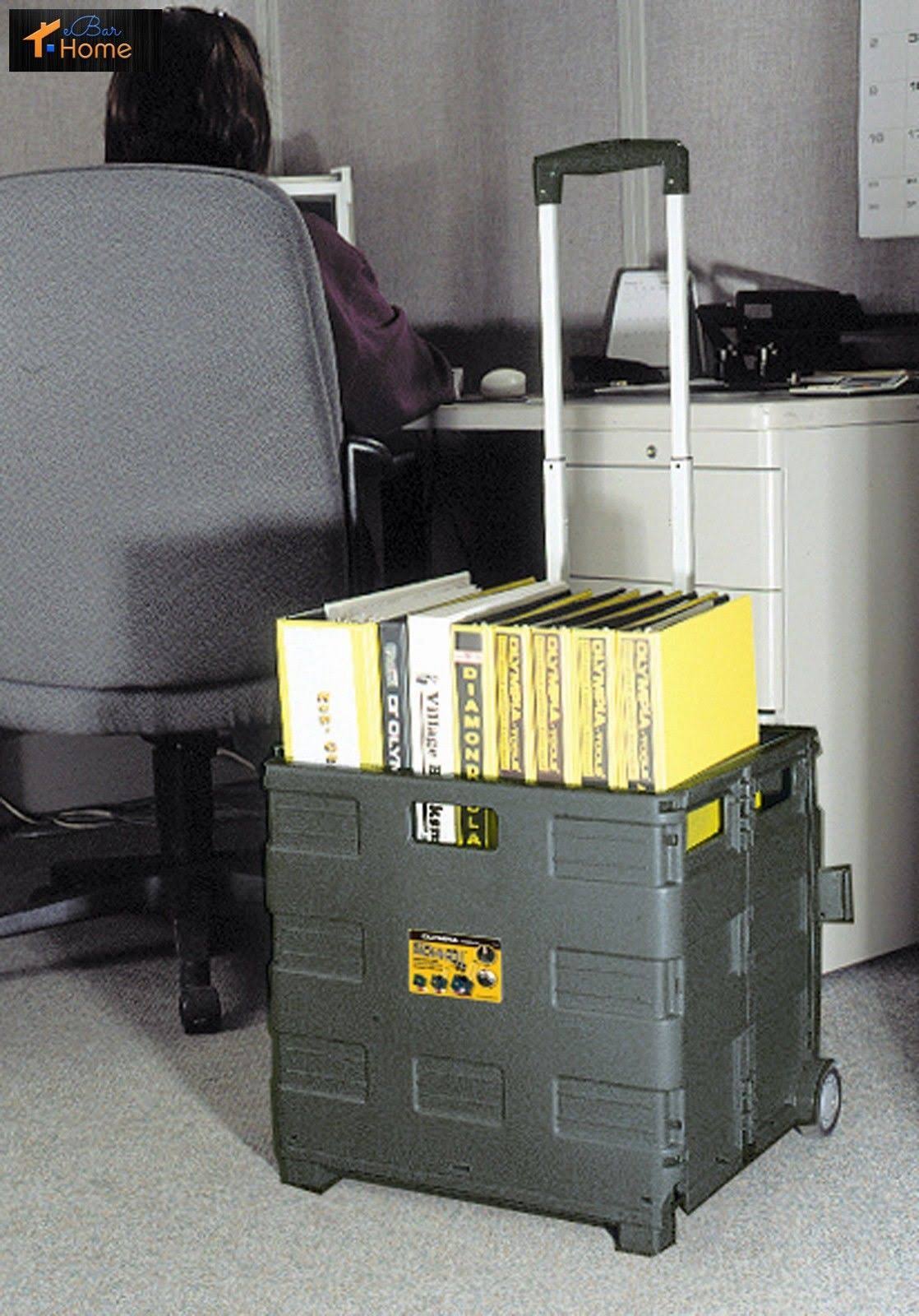 Plastic Black Portable Carrier W2479