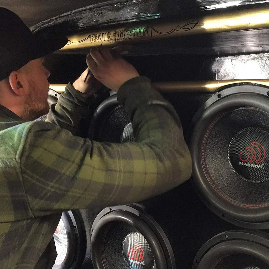 10 Inch Car Audio Subwoofer, 700 Watt RMS, Dual 2 Ohm Q179