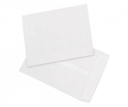 White Tyvek Flat Envelopes 15x22 100/Case A966